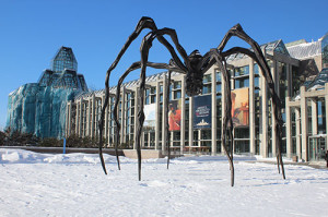 The Art Gallery, Ottawa, 